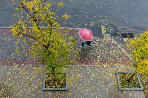 用心感受一场秋雨