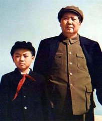 毛泽东的侄子毛远新出狱后是怎样安排工作的？