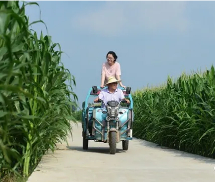 遥远的夏日