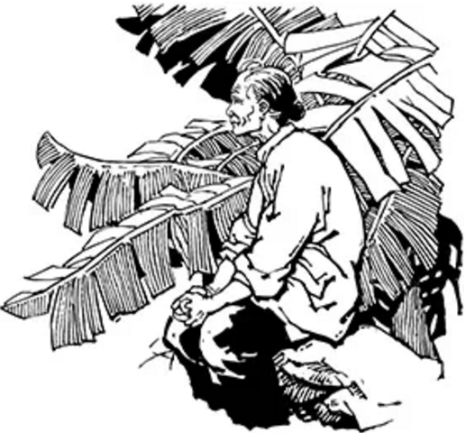 寡 妇