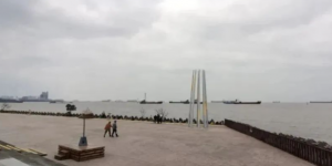 上海的公园：滨江森林公园