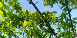 这世界本来的样子