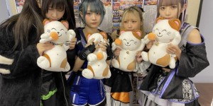 <?php the_title(); ?>