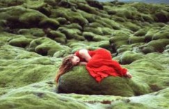 将军在上之今生缘尽来生续 小莹二十一章