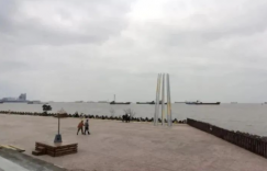 上海的公园：滨江森林公园