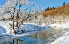 小年遇小雪
