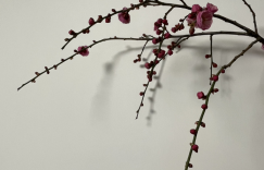 无惧生命中的风风雨雨。所以不管有钱没钱都要回家在一起过个年