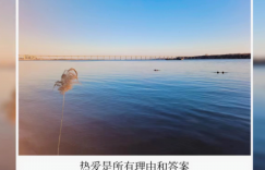 他们本身，就是我的快乐