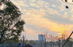 回望 感悟 成长