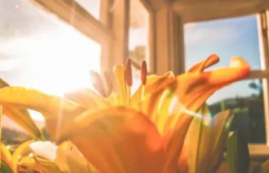 下一程我们会更好