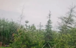 我家两个爱读书的“小屁孩”