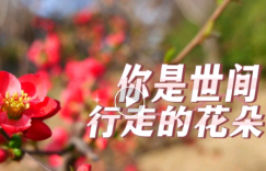 人有三个生命