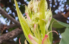 任盈盈为什么会爱上令狐冲