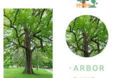 “植”此青绿，不负春光