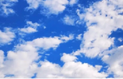 关于自由，关于女性主义