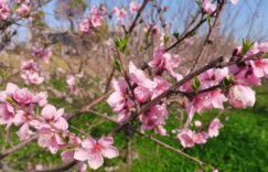 这些年如果不是坚持学习，大抵是茫然了。