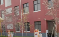 春有约，花不负