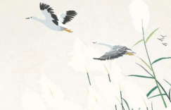 《诗经》之美到底 美在哪里