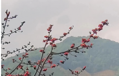 某一天，念着咒语把它打开