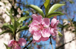 春天那么美，还有什么不开心的呢