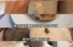 上海40岁中年夫妻存款300万提前退休，为什么会成为热点话题