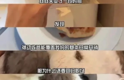 上海40岁中年夫妻存款300万提前退休，为什么会成为热点话题
