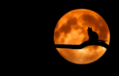 自春分起，再难熬的夜也越来越短了。