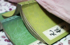 公元809年的春天，我的人设崩了。