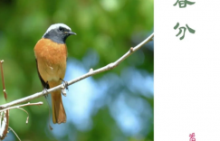 欢喜着，虚度着