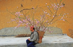 掌心里的桃花