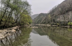 我家门前一条河