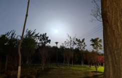 太匆忙的人看不见美