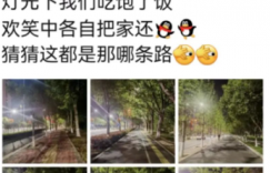 收获不需要理由的快乐