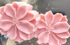 天津海棠
