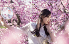 我的失眠是一场桃花劫