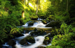 清检浊检何处寻