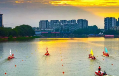 那一年的龙舟赛