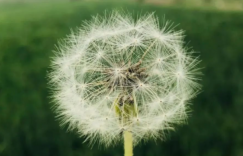 我们每个人都在不懈地化为尘土