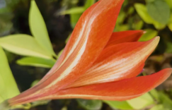 真正的风景，只在人心