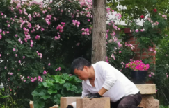 挖掉一座“山” 建个放马的地方