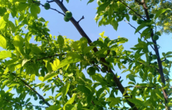 这世界本来的样子