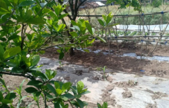 漫不经心的生活