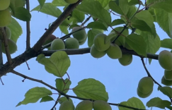 你认为自己的一生活得精彩，活得值得就好。