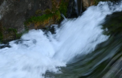 等儿子毕业回家，一定给他搭回油锅，让他尝尝油耳子的精神味道。
